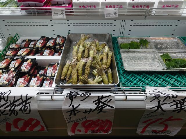 ]s@t[hX^WA R_t[hX^WA R