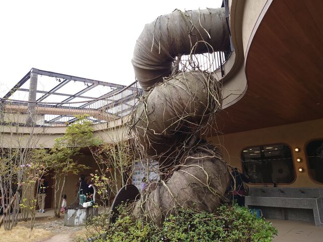 R^s@^날K[f^X_^날K[f^X