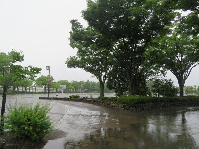 L̂ӂ邳Ƃ̍L̓eʐ^2