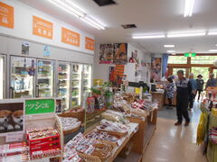 �g�V���[����̋ʐ쉷��E�V�ʐ쉷��ւ̓��e�ʐ^1