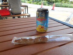 �g�V���[����̋ʐ쉷��E�V�ʐ쉷��ւ̓��e�ʐ^1