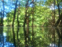 Ƃҁ[̐Ί_ ADVENTURE PiPiւ̓eʐ^1