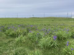 hotaru����̖k�������ԉ��ւ̓��e�ʐ^1