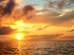 oj[̖` ꑍAEghAcA[Xւ̓eʐ^1