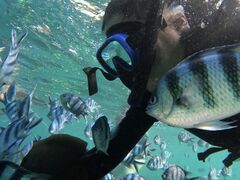 イ̖` ꑍAEghAcA[Xւ̓eʐ^1