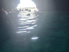 oj[̖` ꑍAEghAcA[Xւ̓eʐ^2