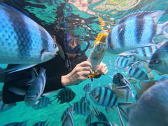 oj[̖` ꑍAEghAcA[Xւ̓eʐ^4