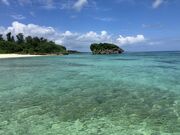 DavidCLEARSUP JAPANy[}zh[Bfʐ^B!̓eʐ^1