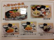 ���肱����̓V�R���� �䏊�̋��̓��e�ʐ^1