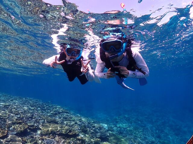 �X�肪�L���C�B_�ɗǕ����c�A�[�@�}�J�i