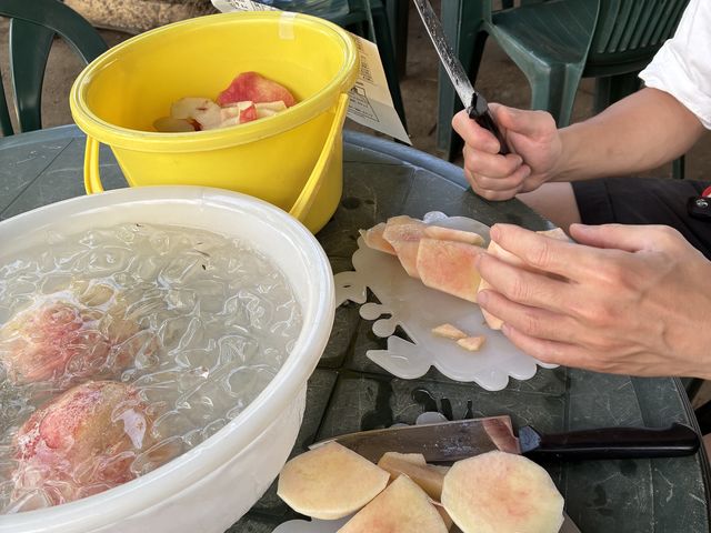 ���������ς��H�ׂ܂���_�������̉���