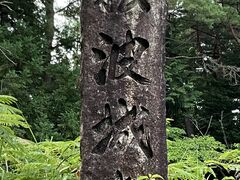 Shotȁg隬ւ̓eʐ^1