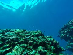 v̐Ί_ ADVENTURE PiPiւ̓eʐ^1