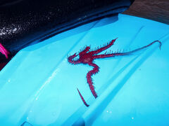 ق̐-Vm[PKChX-ւ̓eʐ^1