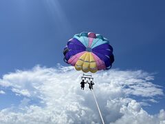 [ONE marineւ̓eʐ^1