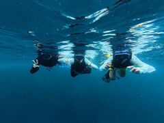 ͂Ȃ񂳂̐Ί_ ADVENTURE PiPiւ̓eʐ^1