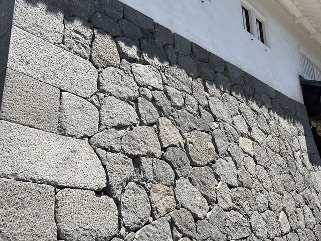 �Ί__�������