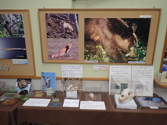 �A�C�k�̎�����_�эL�S�N�L�O��