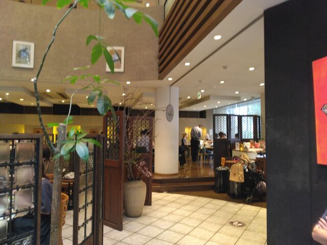 綺麗で品のあるお店です。_ぴょんぴょん舎 駅前店