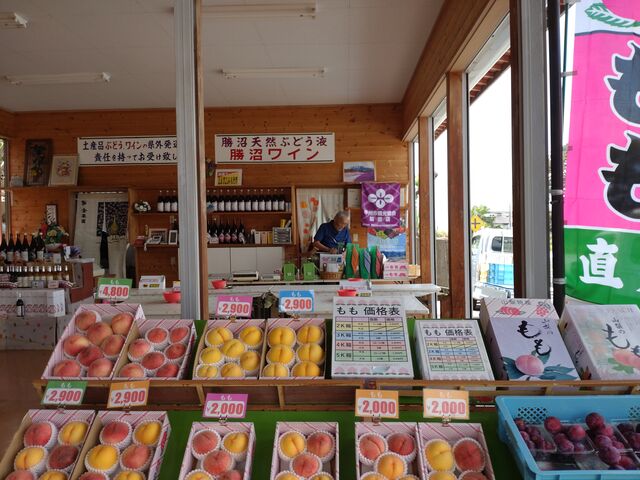 �����傫���ĊÂ�_���ʉ�