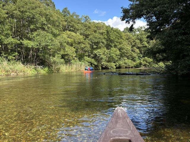 �Y��Ȏ��R��Ƃ��߂ł��܂��B_���o�[���t�B�[���h