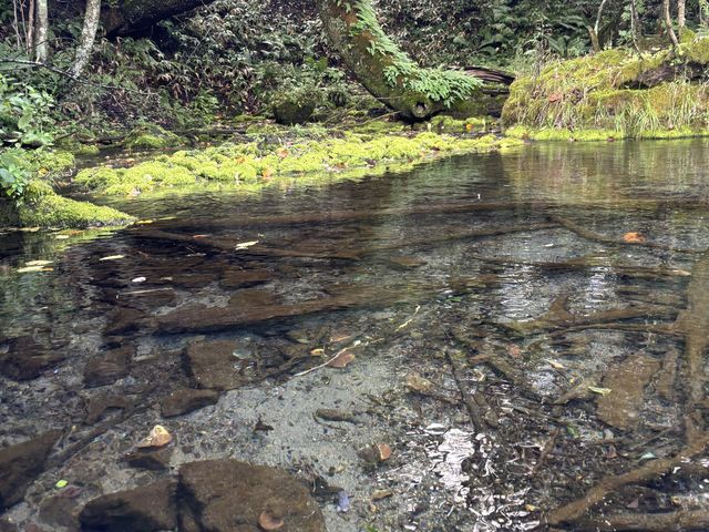 ���̊�
�����x���������ł��B_���o�[���t�B�[���h