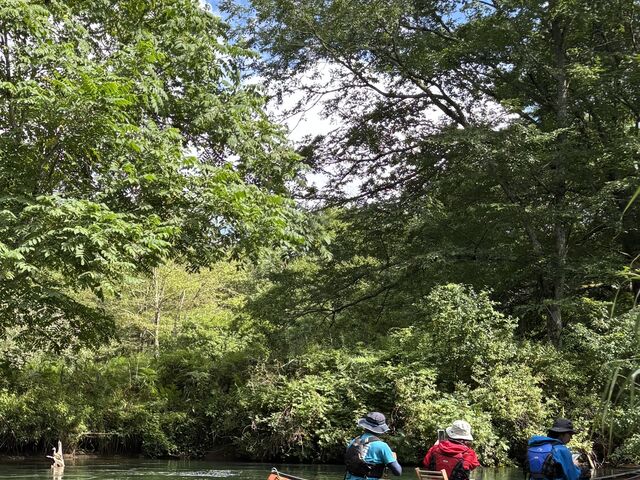 ���B�e���B
�i�~�����߂��������݂��ĉ������܂��B�J����������悩�����ł��j_���o�[���t�B�[���h