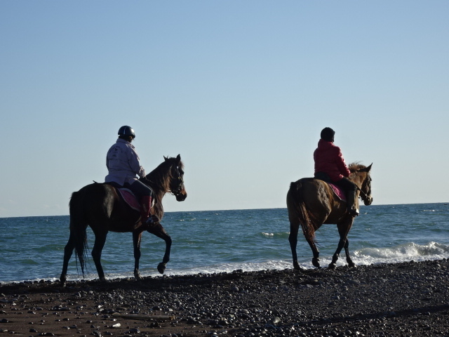 ��n���B_�k�����m�V�[�T�C�h���C����n�N���u