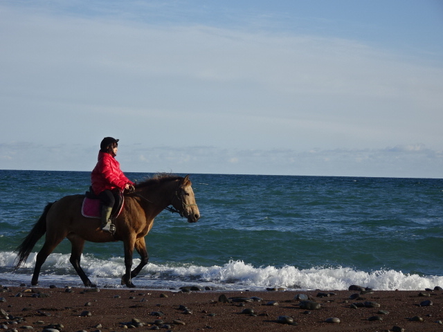 ���S�҂ł��y���߂܂��B_�k�����m�V�[�T�C�h���C����n�N���u