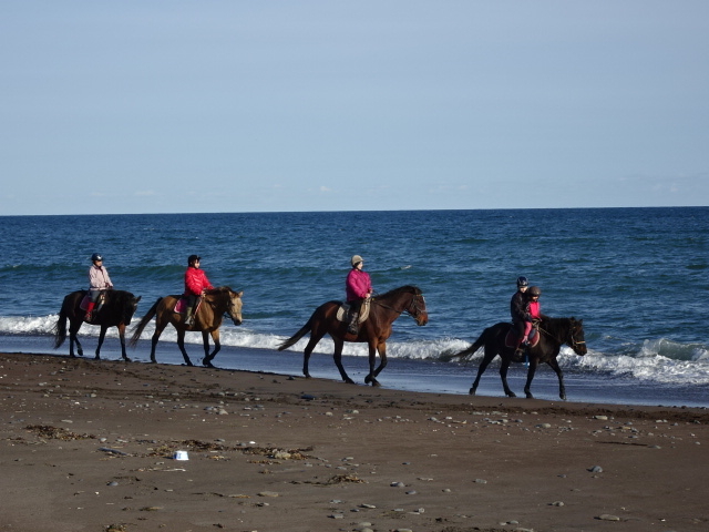 lŎQł̂ŁAf[gɂ߁B_kmV[TChCnNu