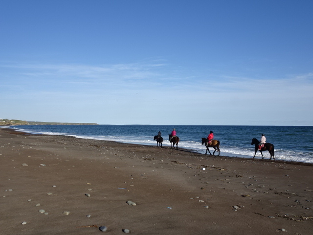 g̉Ȃ̏nAł̌ł܂B_kmV[TChCnNu