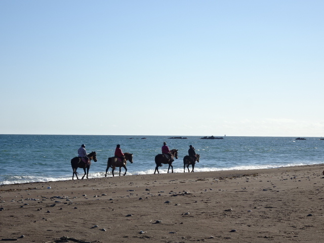 VC͍ōłB_kmV[TChCnNu