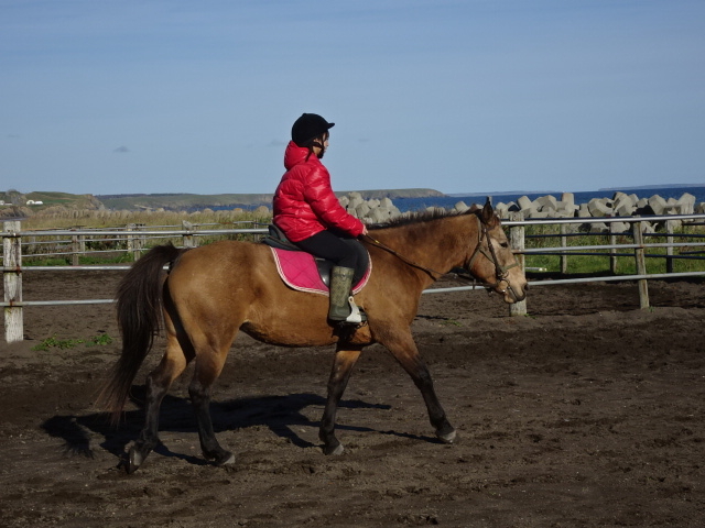 ŏɔn̏ȂǃN`[Ă炦܂B_kmV[TChCnNu