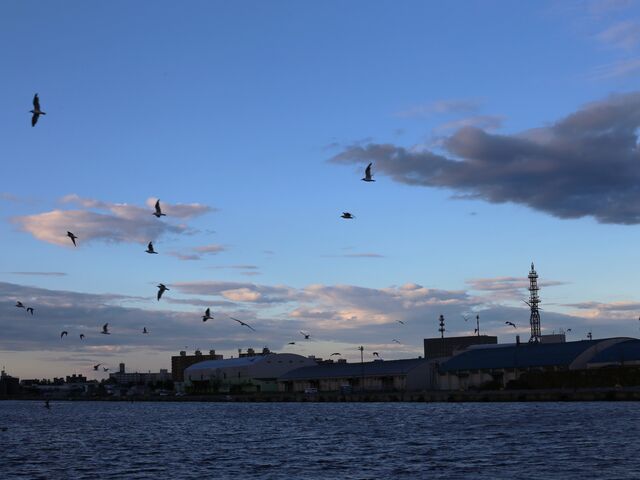 �D��������o��_���H�[���ό��N���[�Y�D�V�[�N���C��