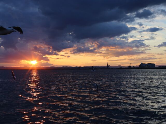 �_�̐؂�Ԃ���[�����I_���H�[���ό��N���[�Y�D�V�[�N���C��