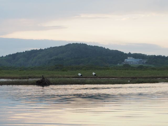 ^`EG]WJɏoƂB܂ɃWOłB_Ɠỹix^J