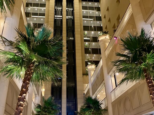 ���r�[�̐�������_�_�˃����P���p�[�N�I���G���^���z�e��