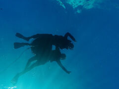 non̐Ί_ ADVENTURE PiPiւ̓eʐ^1