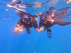 񂿂񂳂̐Ί_ ADVENTURE PiPiւ̓eʐ^1