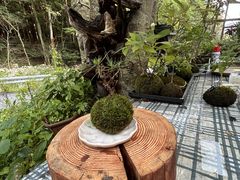 ۋʍH[ TACHIOKAYA̎ʐ^1