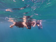 ͂邹̐Ί_ ADVENTURE PiPiւ̓eʐ^1