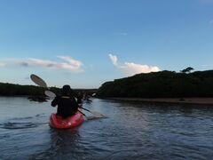 ͂邹̐Ί_ ADVENTURE PiPiւ̓eʐ^3