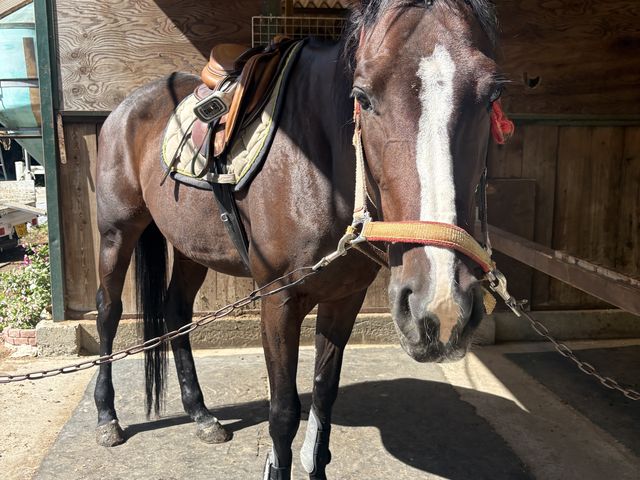 ���u�����_OISO�@��n�@�N���u