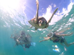 䂤̋{blue܂ق΂ւ̓eʐ^1