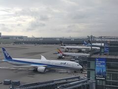 �܂ڂ񂳂�̉H�c��`�i�������ۋ�`�j�ւ̓��e�ʐ^1