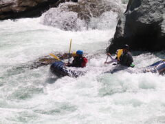 ODSSlsteBOV[NC~Ot̎ʐ^2