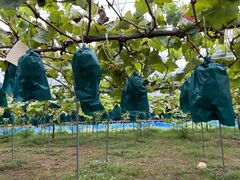 babu mamâ܂قt@[ւ̓eʐ^2