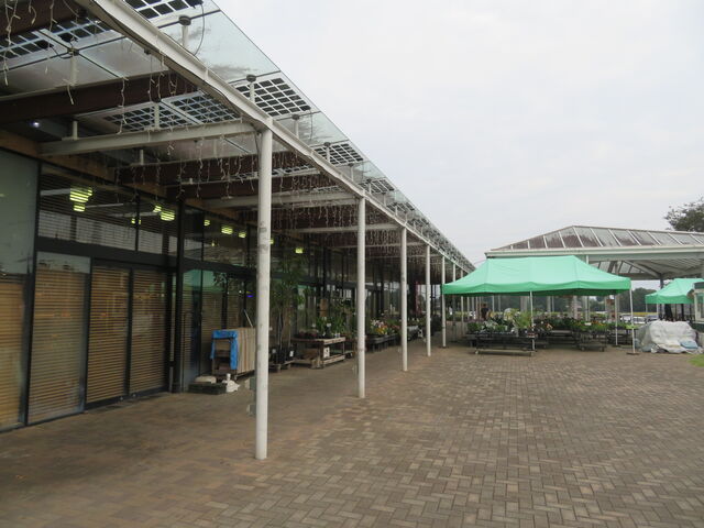 ���̉w ������_���̉w ������