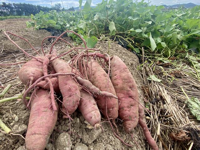 �I������_��J�_��