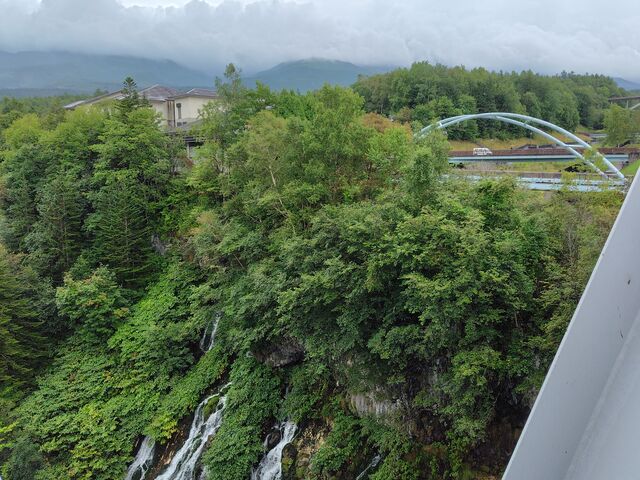 ���̎肷��̌��Ԃ���B�e�������Ђ��̑�B���l��̐��F���������ł��B_���Ђ��̑�